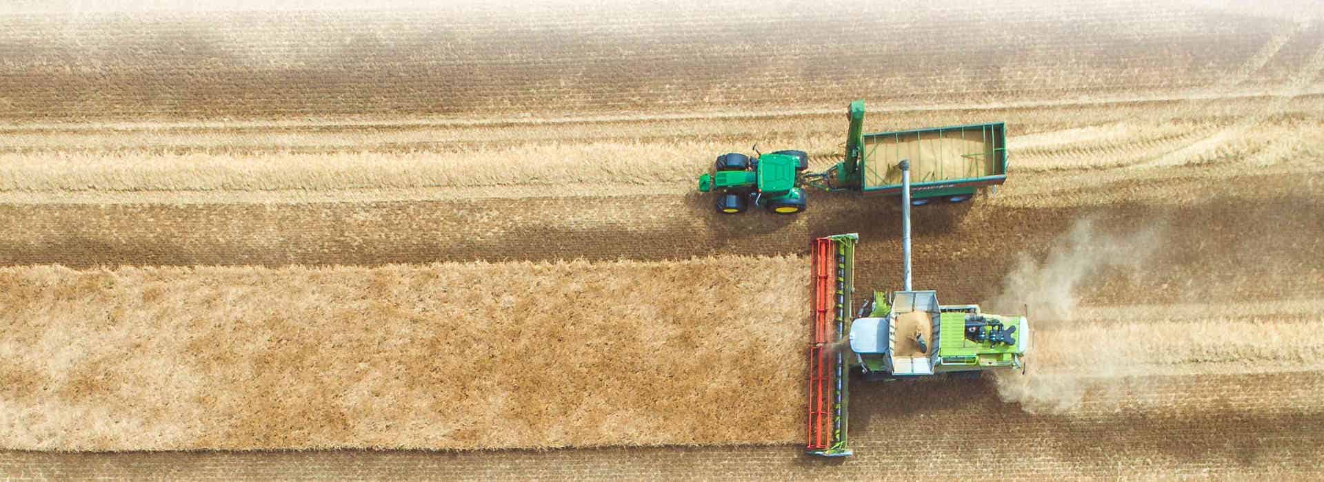 Agriculture Translation Services Halifax References