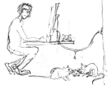 A translator working while rats eat leaking data - Halifax Translation Agency