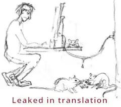 Rats stealing a translator's data - Data privacy issues for translators